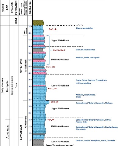 Lithological Patterns Lithology Pattern: